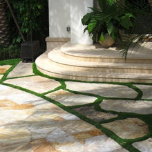Landscape Ideas