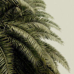 LEAF LOVE - Wallpaper