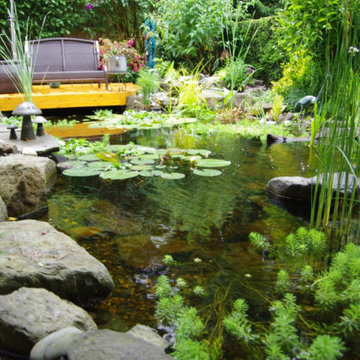 Ecosystem Ponds