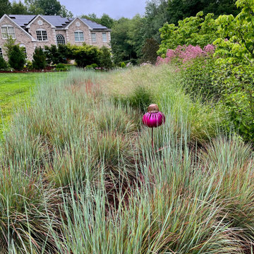Native Meadow