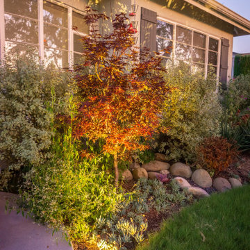 Culver City Residential Retreat