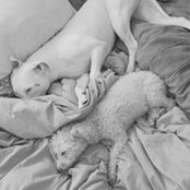 Dana Panico's photo