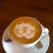 Alexander Levendel's photo