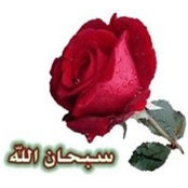 Yasmin Ghaly's photo