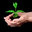 Corona Landscaping
