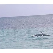 Cathy Messenger's photo