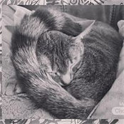 Tracy Lynne's photo