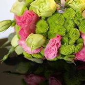 Phylicia Sheah's photo