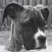 Lisa Coffey's photo