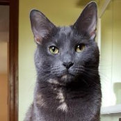 Alissa Behnke's photo