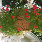 Sylvia Daley's photo