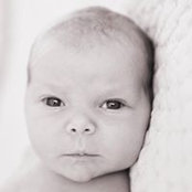 Nate Kelso's photo