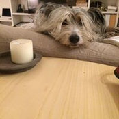 Alessandra Catitti's photo