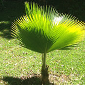 Mike McFarlane's photo