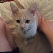 Dylan Witucki's photo