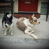 Christine Moore's photo