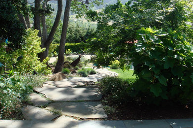 Photo of a large transitional sloped shaded garden for spring in San Francisco with a garden path and concrete pavers.