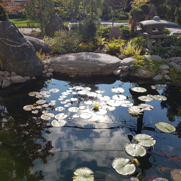 Contemporary Japanese Garden