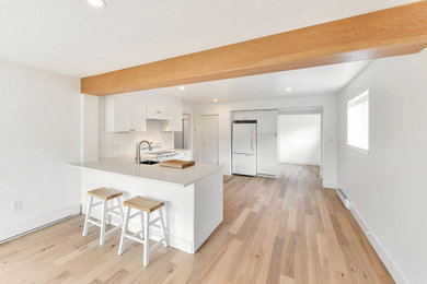 Inspiration for a small contemporary l-shaped light wood floor and beige floor eat-in kitchen remodel in Other with an undermount sink, shaker cabinets, white cabinets, quartzite countertops, white backsplash, white appliances, an island and white countertops