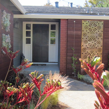 Contemporary Front Yard