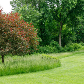 Mature Garden