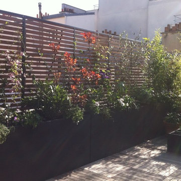 Aménagement paysager d'une terrasse à Paris...