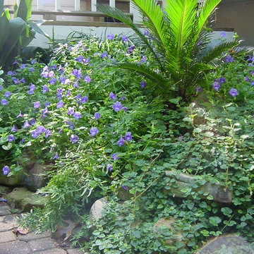 Eclectic Garden