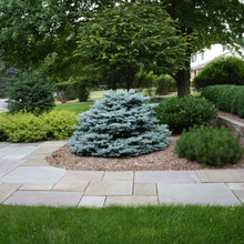 Bluestone Walkways and Patios