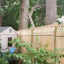 fence