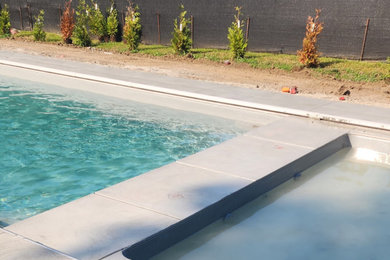 Modelo de piscina con fuente alargada minimalista rectangular en patio trasero