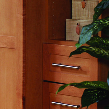 Cabinet storage in your media room or closet