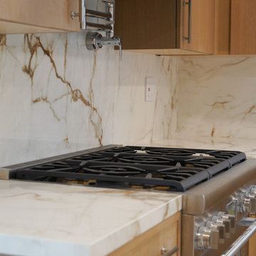 Alameda -Whole House Renovation