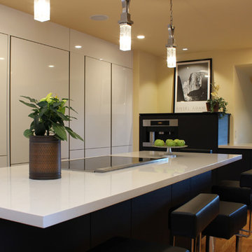 Cupertino kitchen in carbon oak and gloss white cabinets
