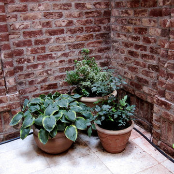 Tribeca Gardens