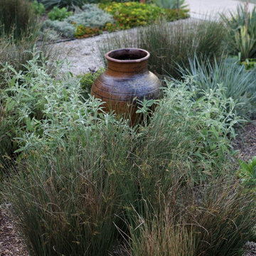 Vary Plant Color and Texture