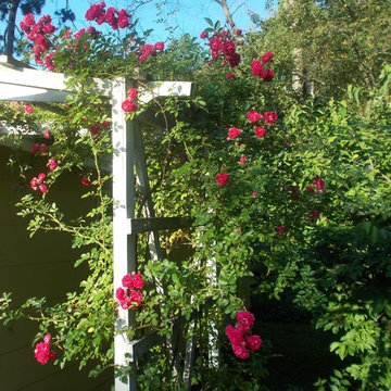 Weekend Cottage