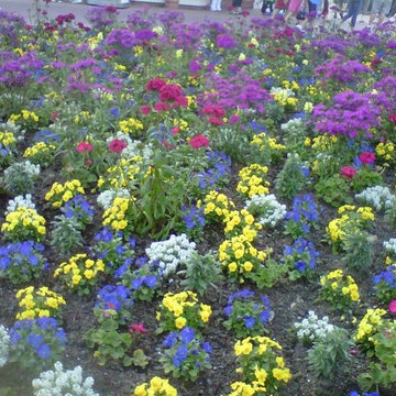 My Work