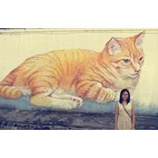 Foto von Joyce Joy