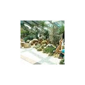 Pekham Datta's photo