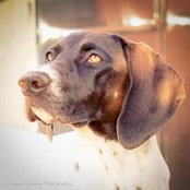 Jan Heastont's photo