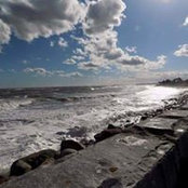 Amy Lorrey's photo