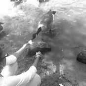 Dyamond Redican's photo