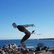 Maureen Raubenheimer's photo