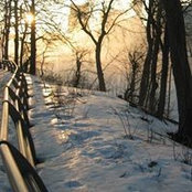 Don Arnts's photo