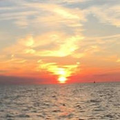 Brent Farina's photo