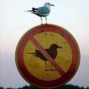 Tom Galante's photo