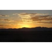 Mary Knop's photo