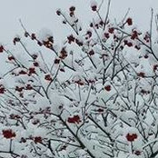 Patti Quigley's photo