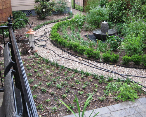 Backyard bird sanctuary