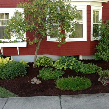 Our Work